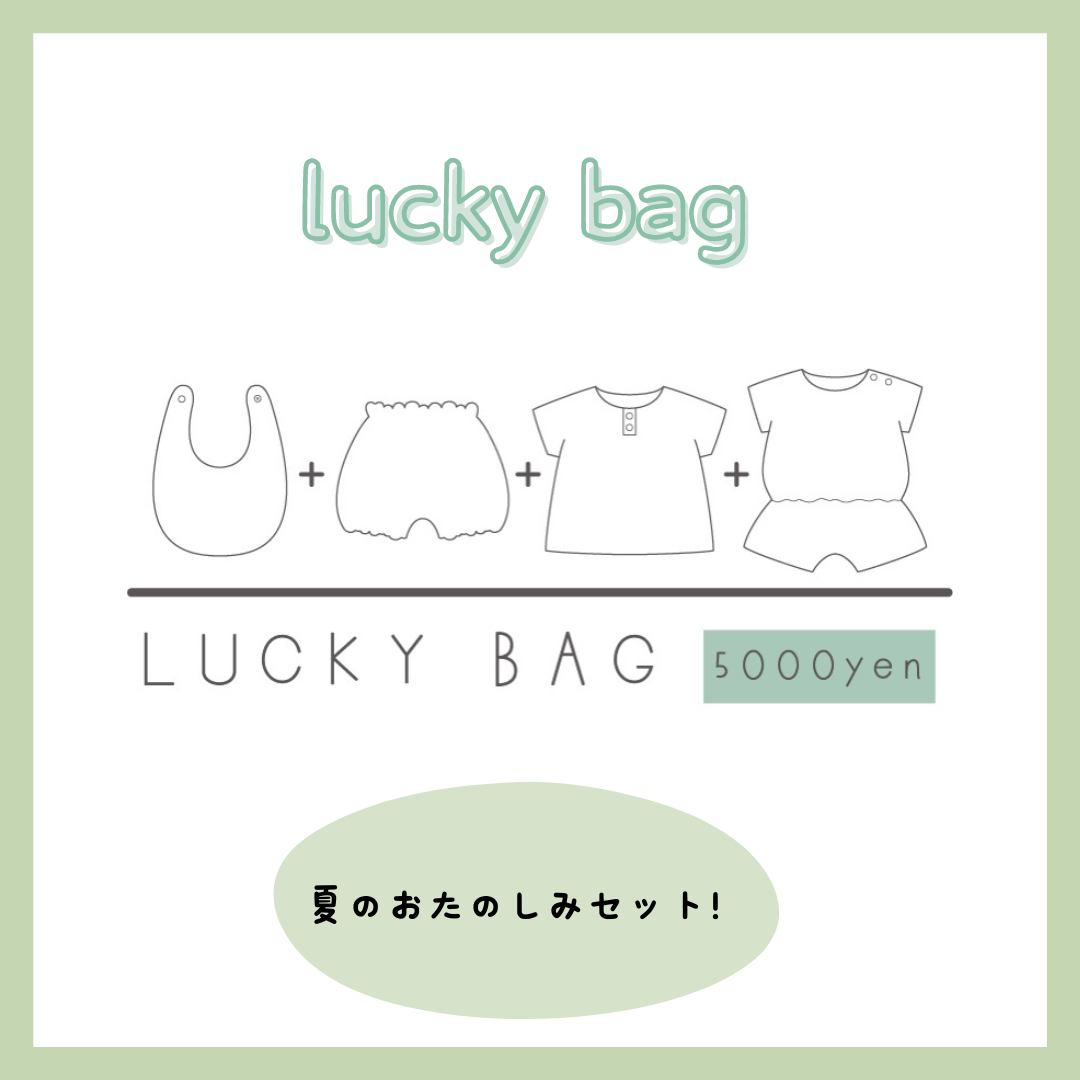Lucky bag (2 novelty items included)
