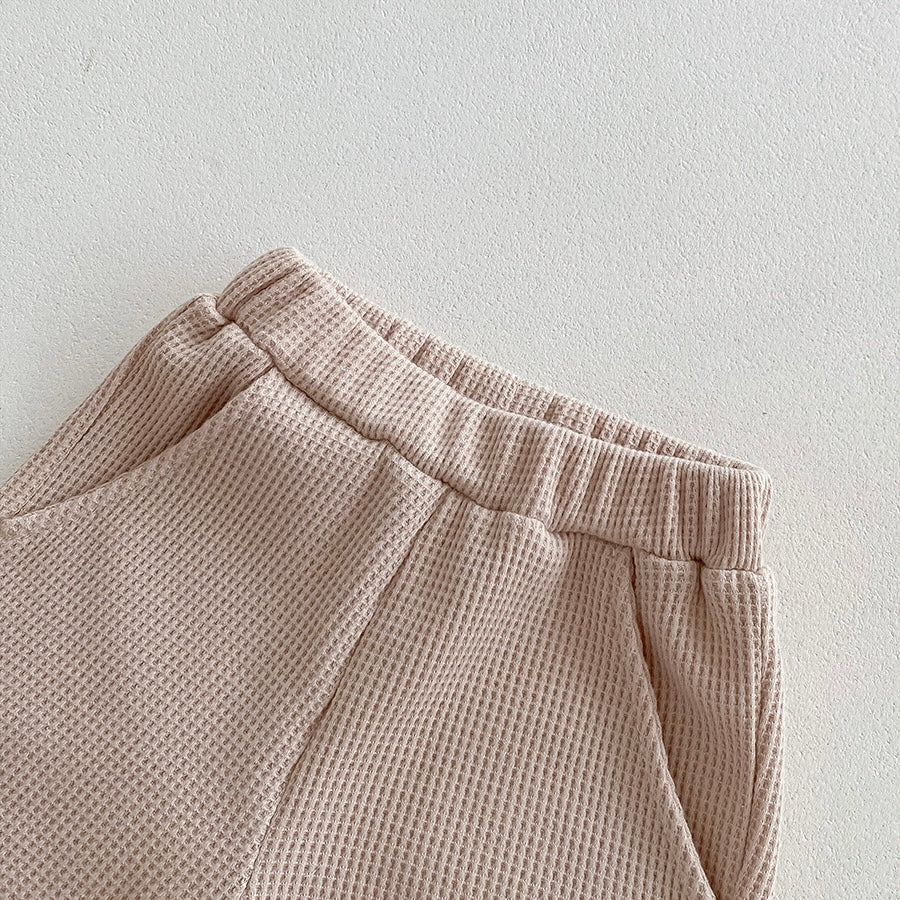 ライオンくんのアイスセットアップ【N3306】