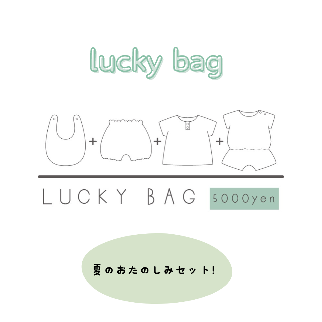 Lucky bag (2 novelty items included)