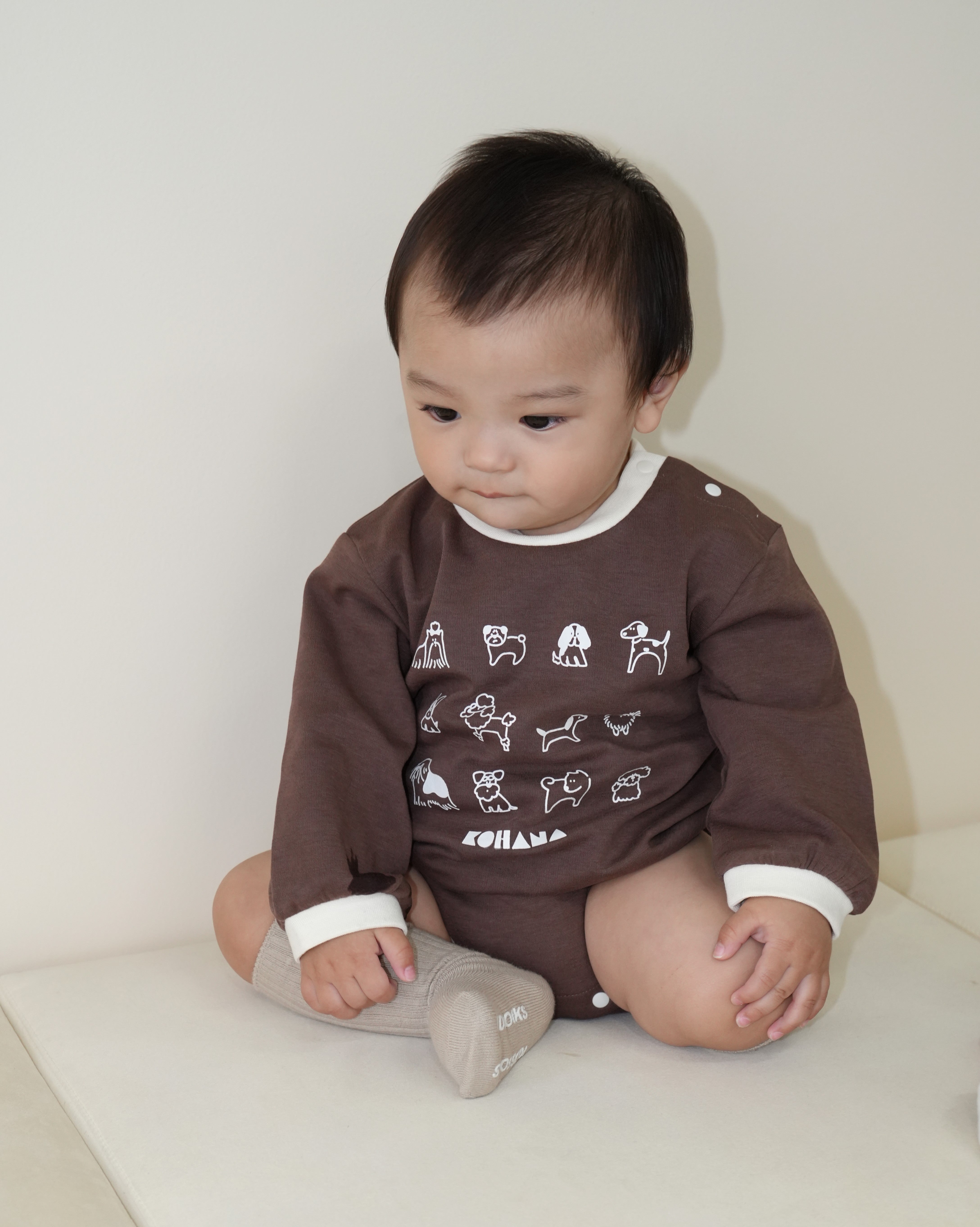 【110375】 (Brown) Dog Romper