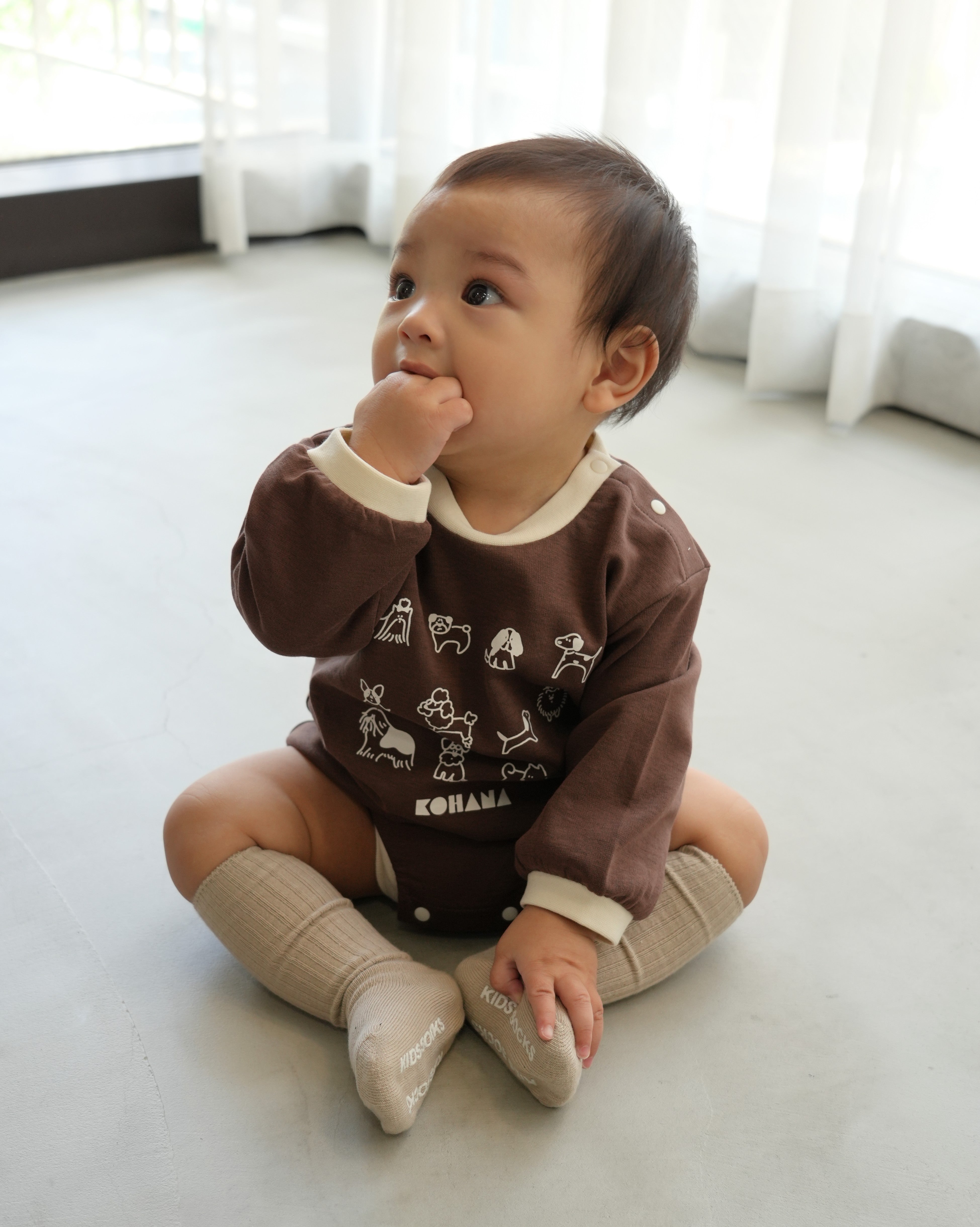 【110375】 (Brown) Dog Romper