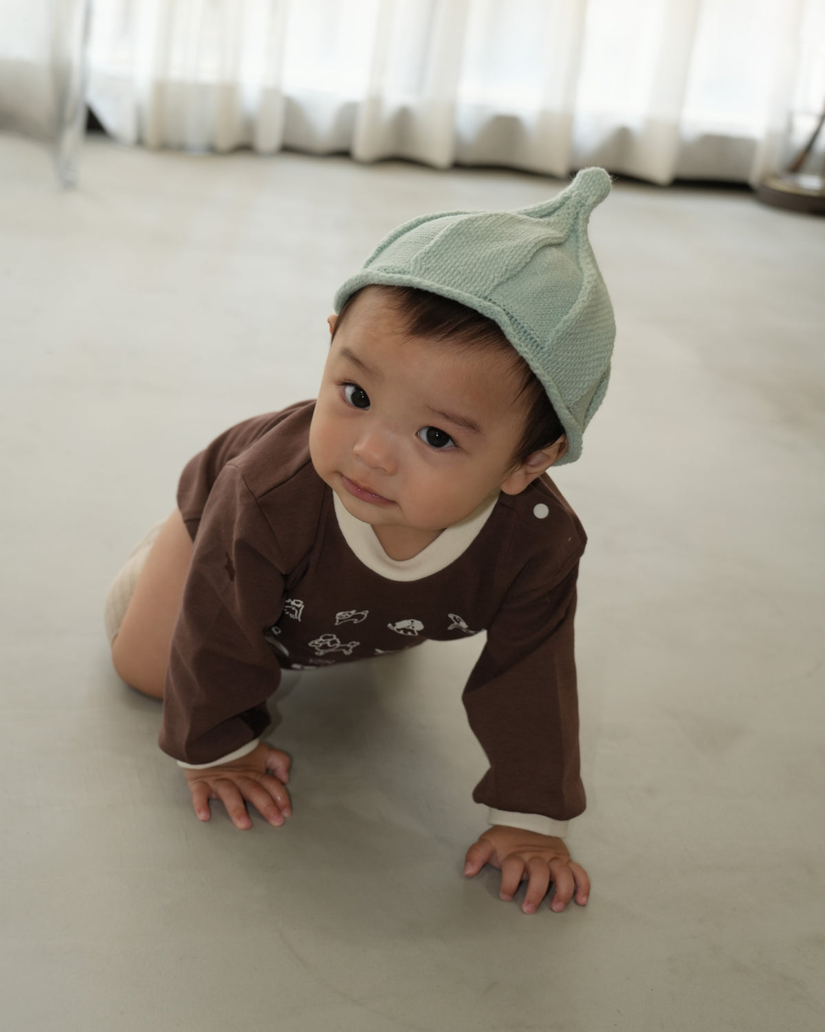 【110375】 (Brown) Dog Romper