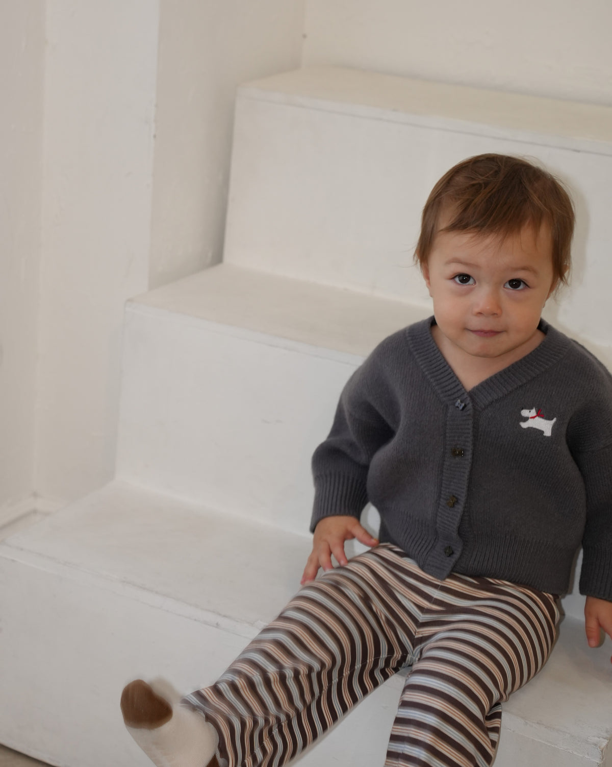 Little Dog Outing Knit Cardigan【110607】