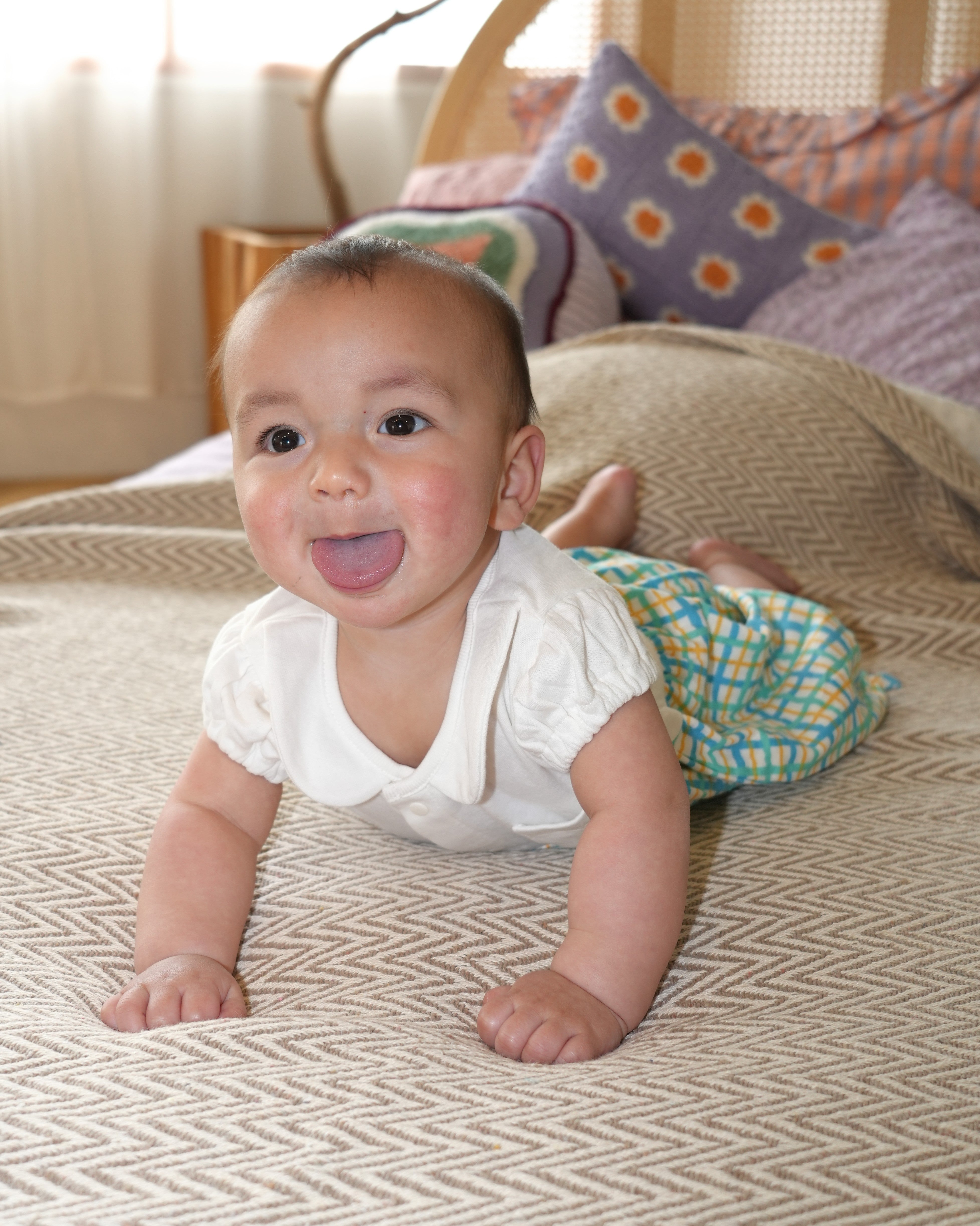 Hand Drawn Check Peter Pan Collar Playsuit【110232】 (Blue)