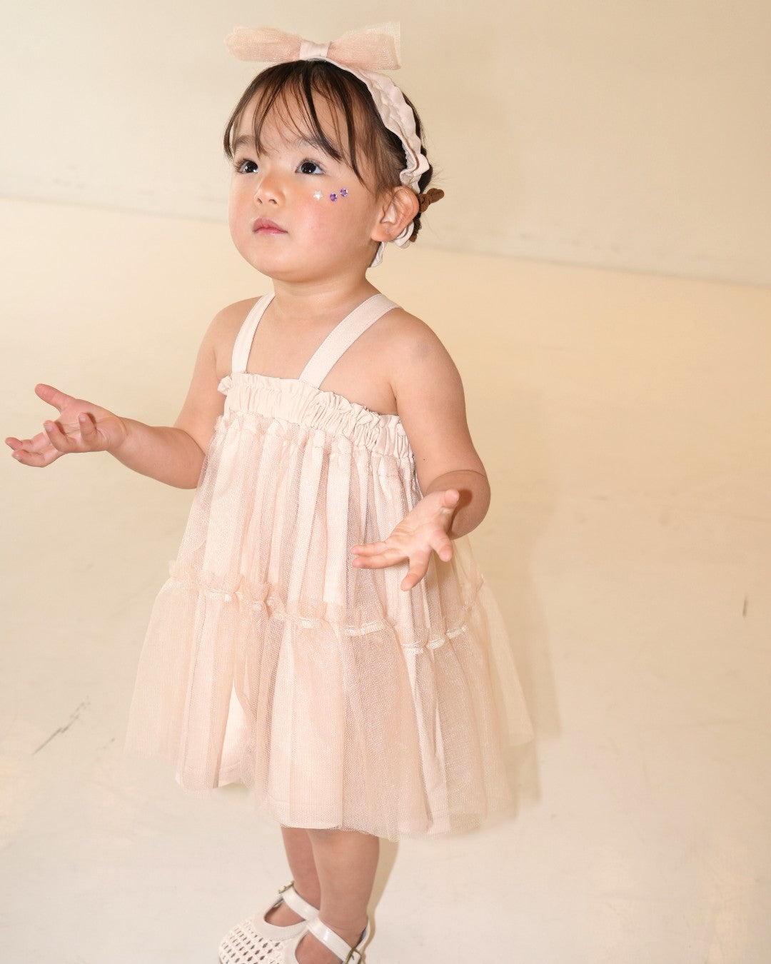 One Tone Sheer Tulle Dress【110280】 (Pink)