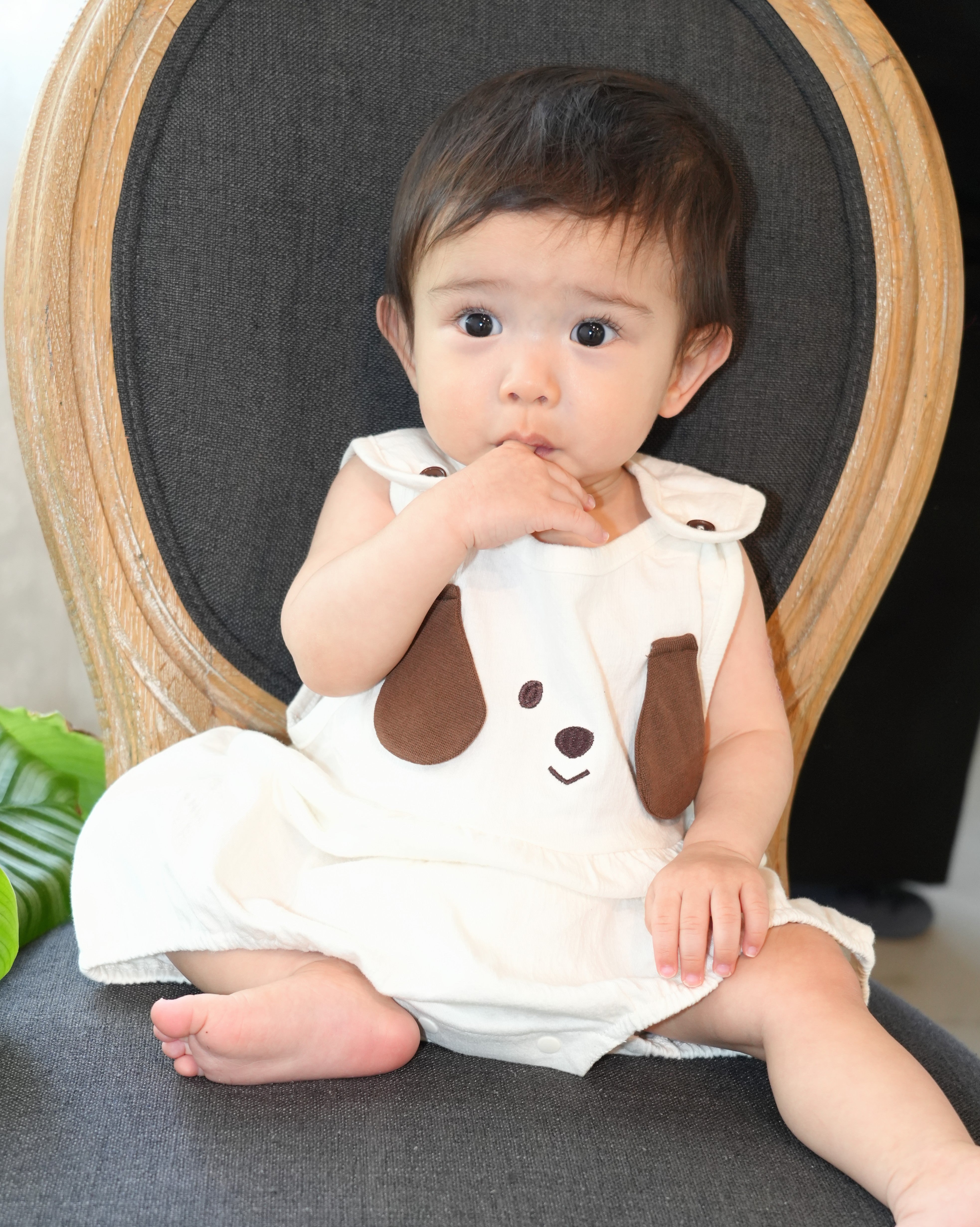 Dog Face Bloomer Salopette【110237】