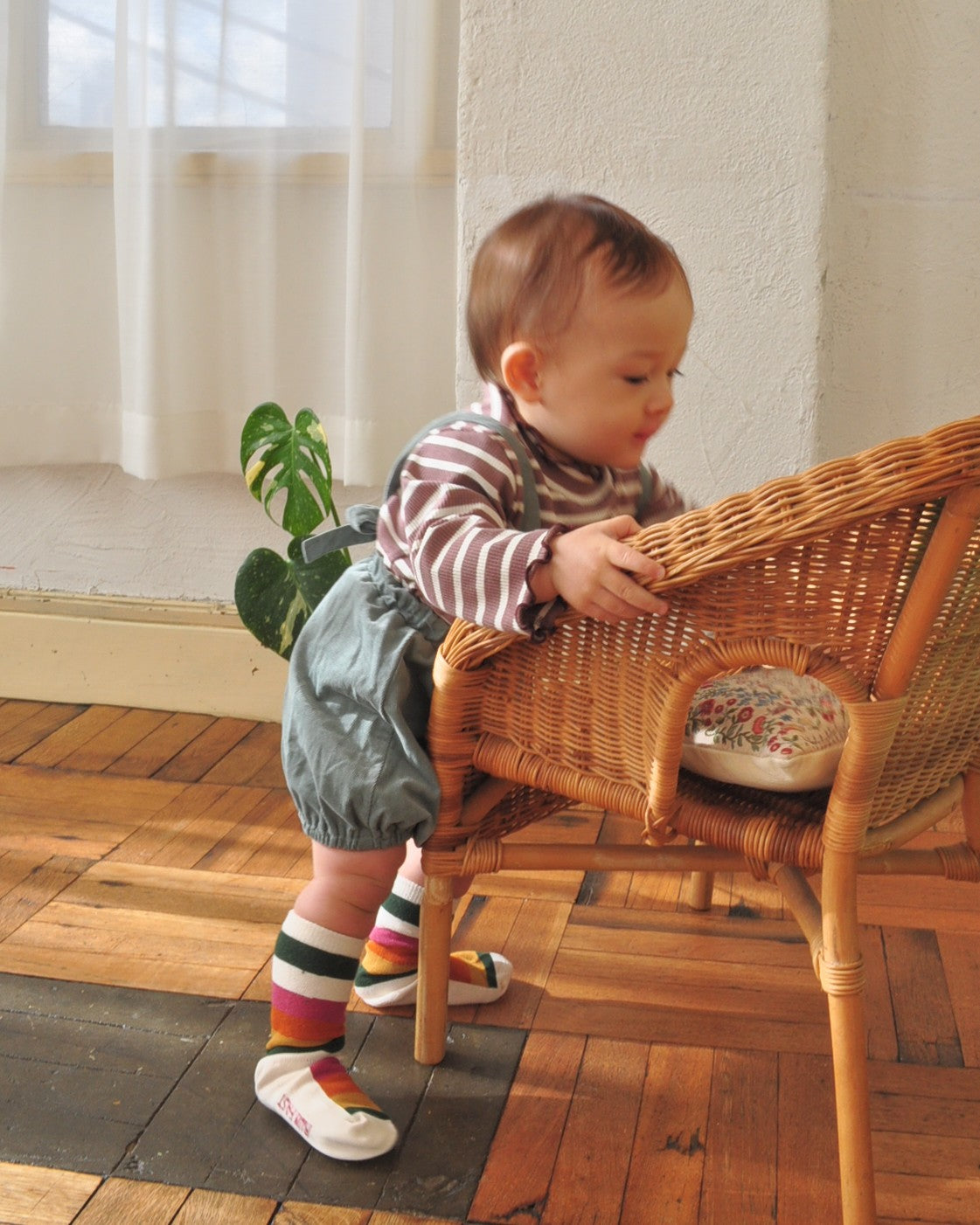 Striped Merrow Tops【110205】(brown)