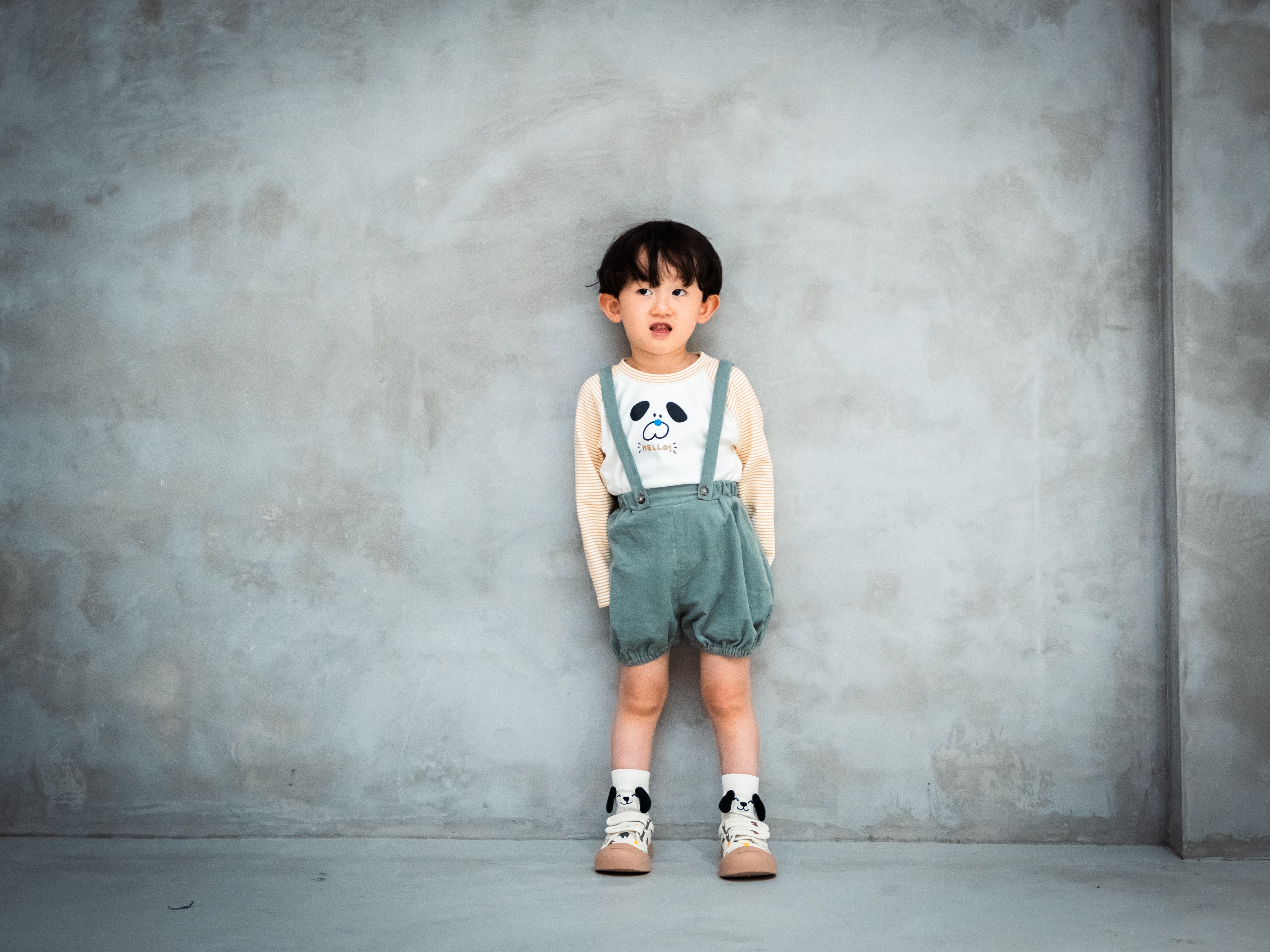 Stretch Smooth Dog Raglan T-shirt [110092] 