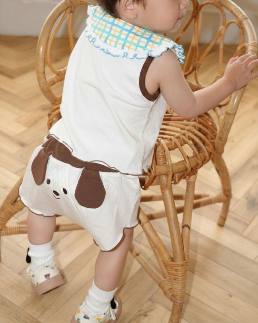 Bicolor Dog Face Set up【110236】