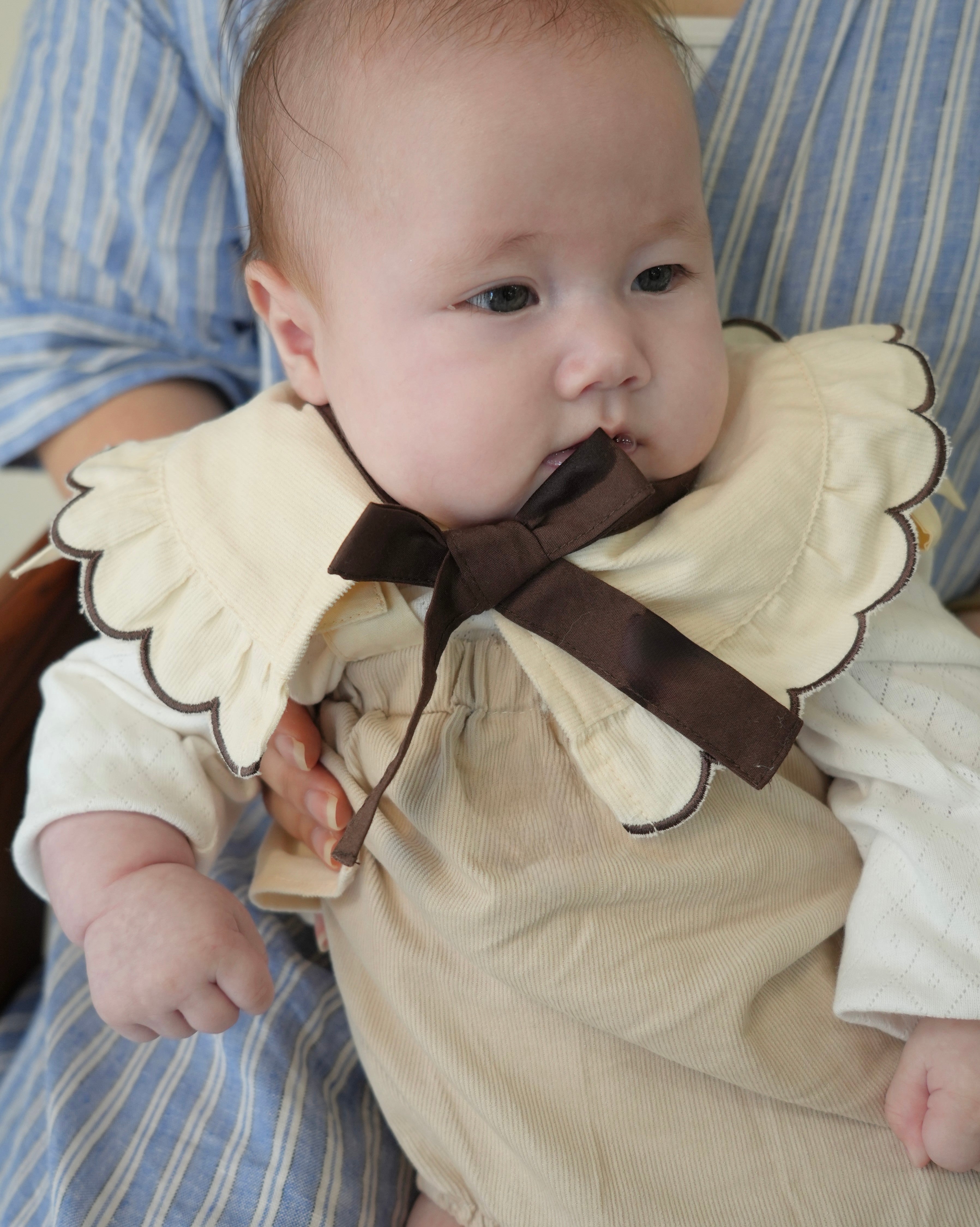 Scallop Embroidery Detachable Collar【110413】
