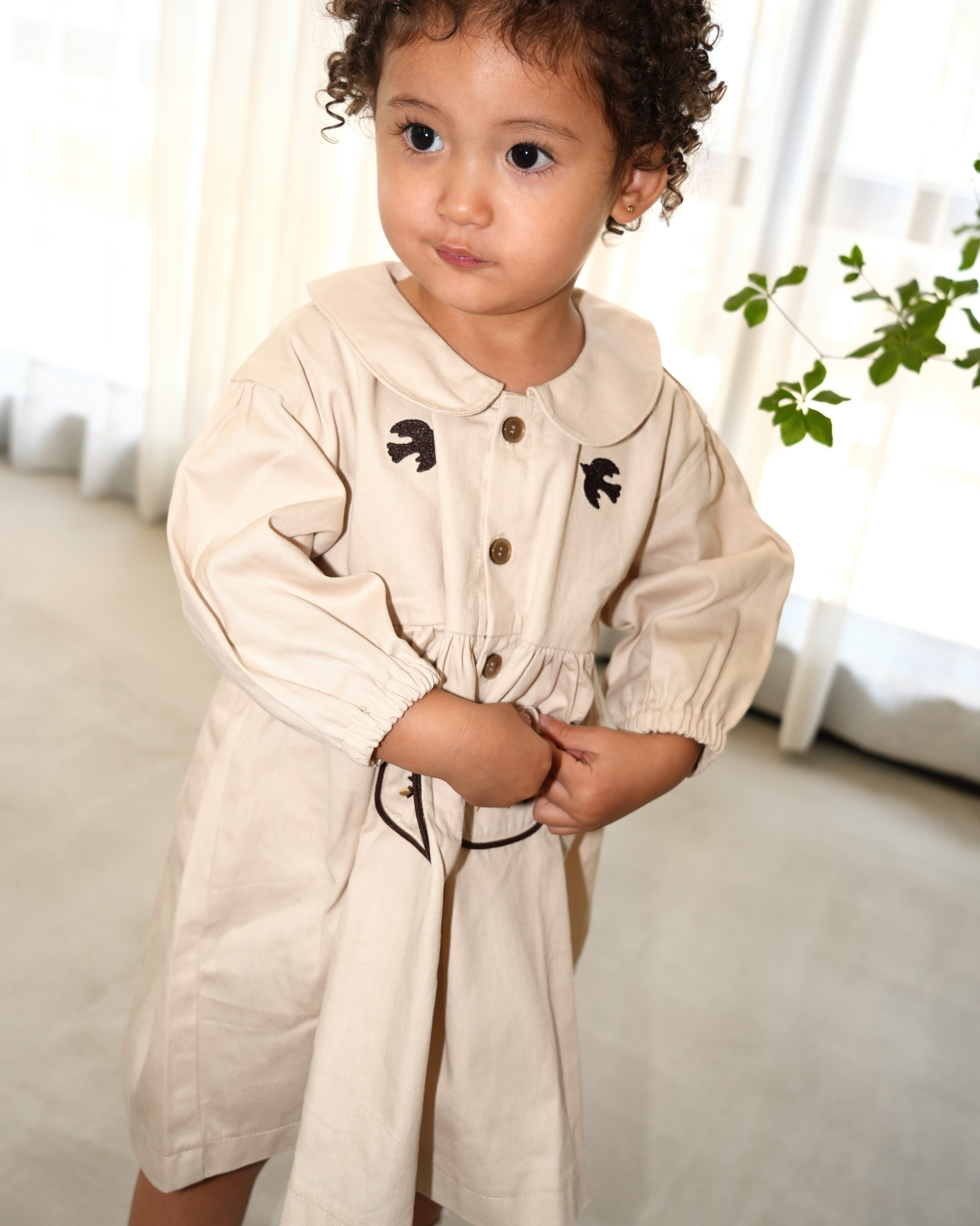 Embroidered Cotton Twill Peter Pan Collar Dress【110416】 (ivory)