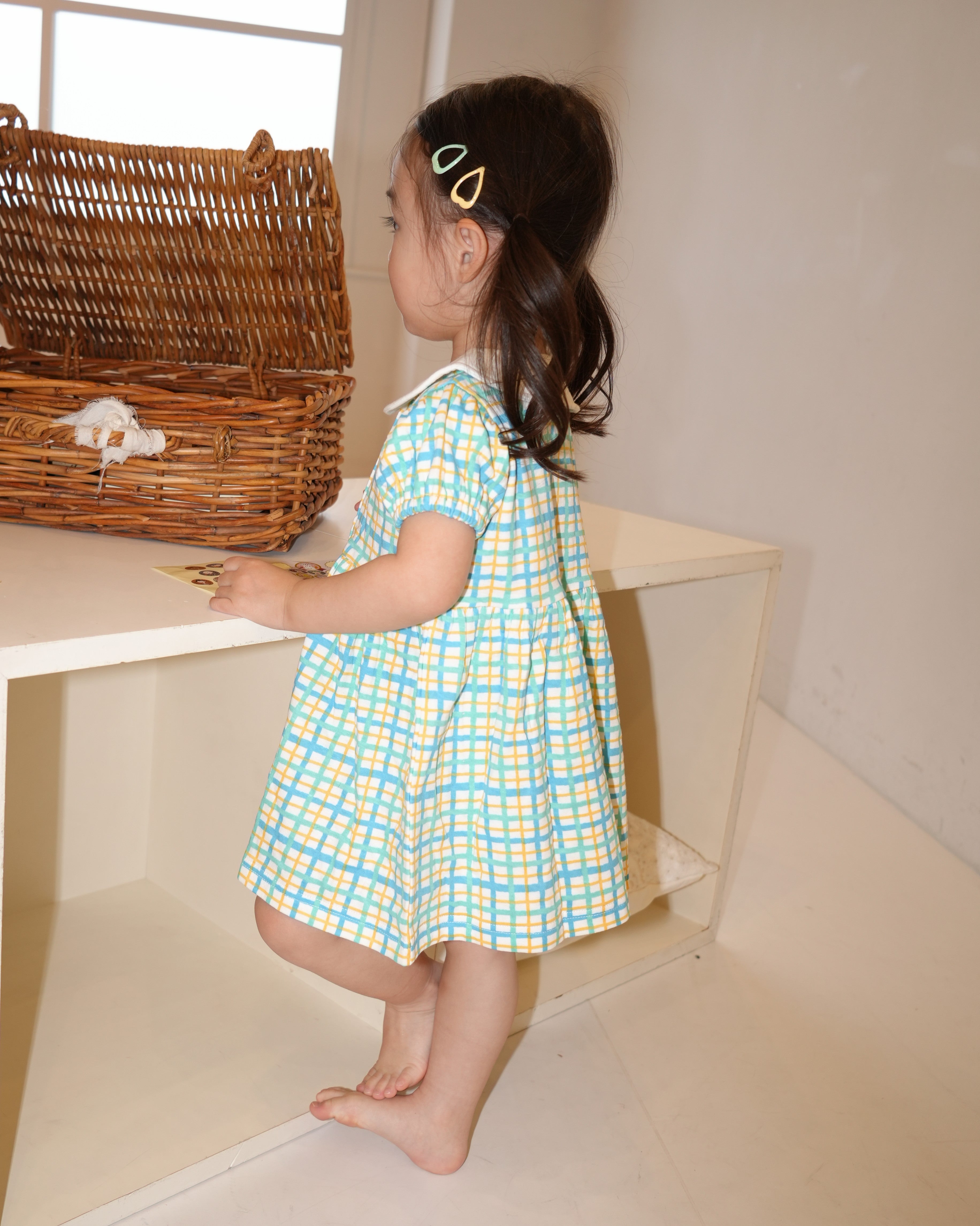 Hand Drawn Check Peter Pan Collar Dress【110230】 (Blue)