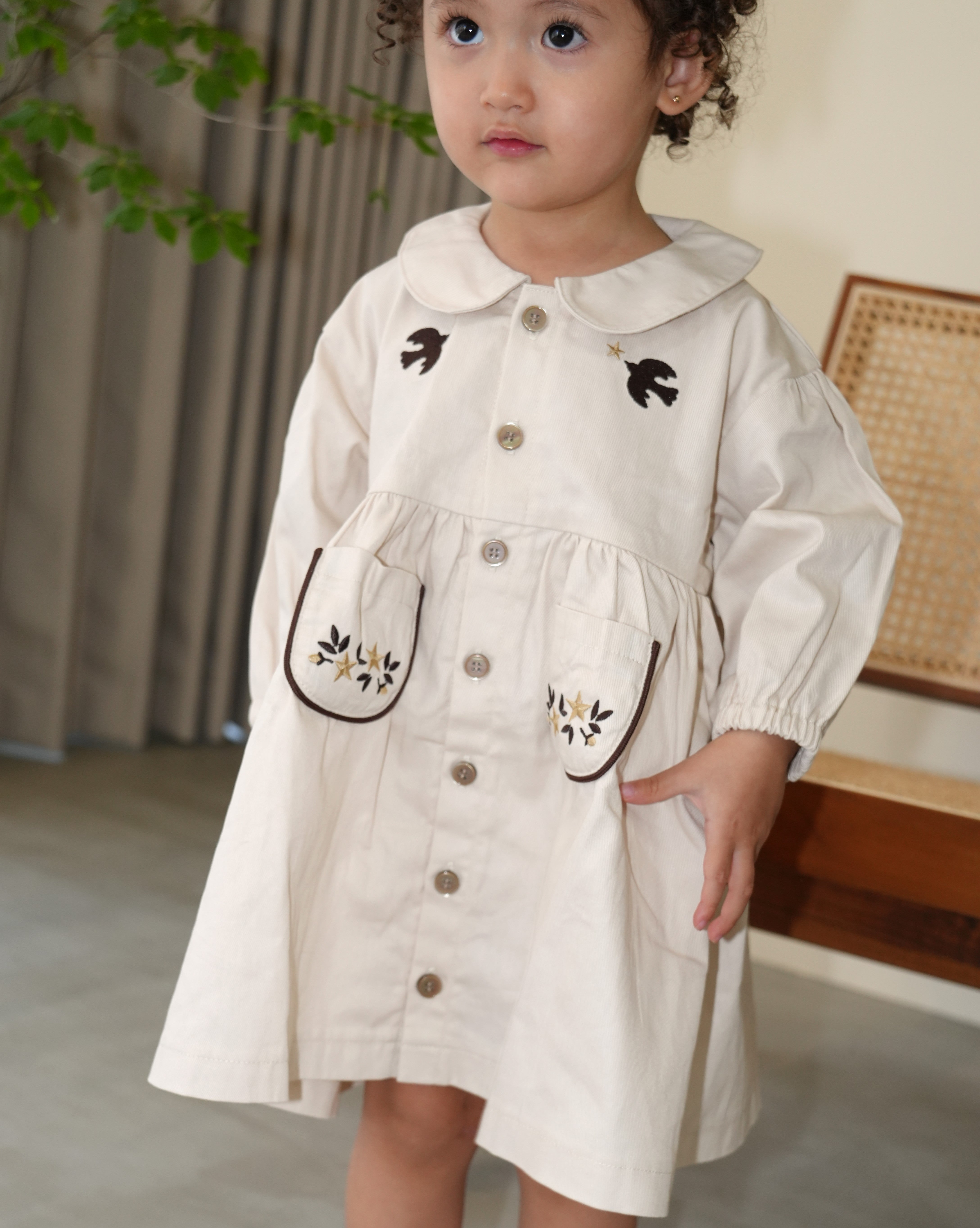 Embroidered Cotton Twill Peter Pan Collar Dress【110416】 (ivory)