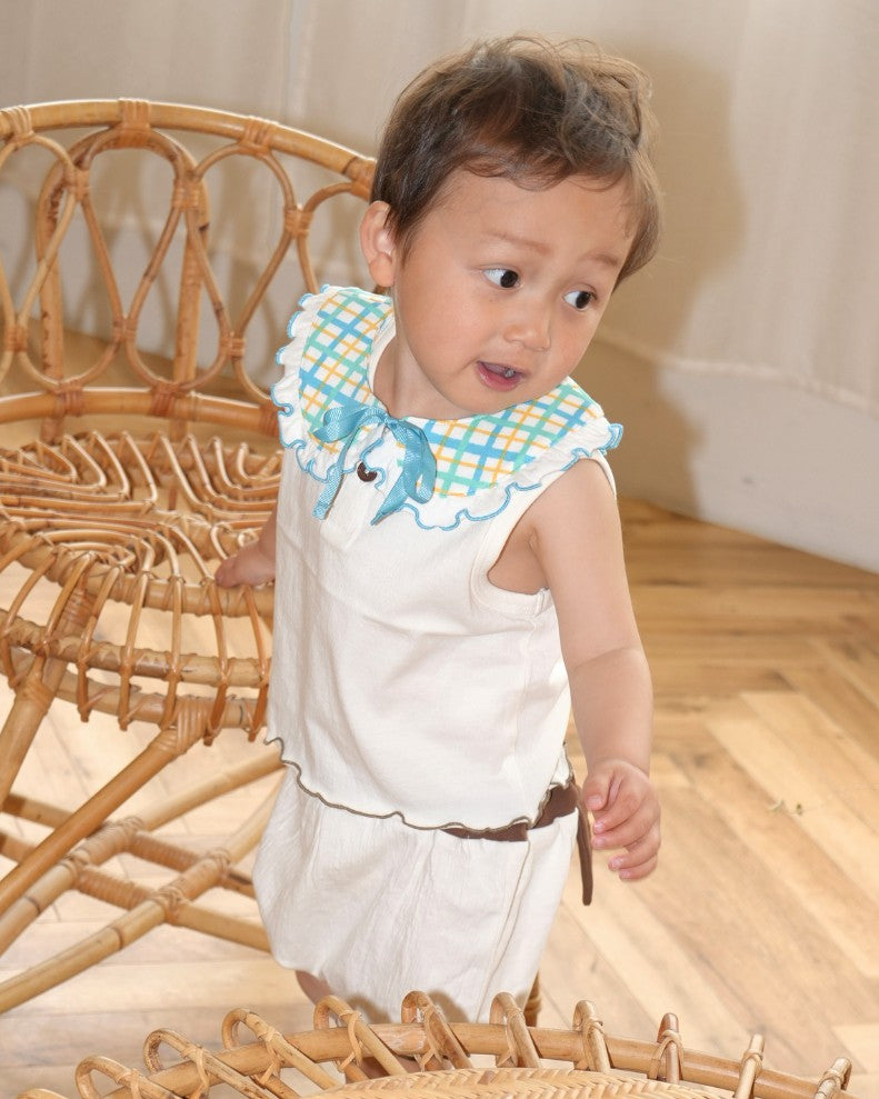 Hand Drawn Check Ruffle Detachable Collar 【110235】 (Blue)