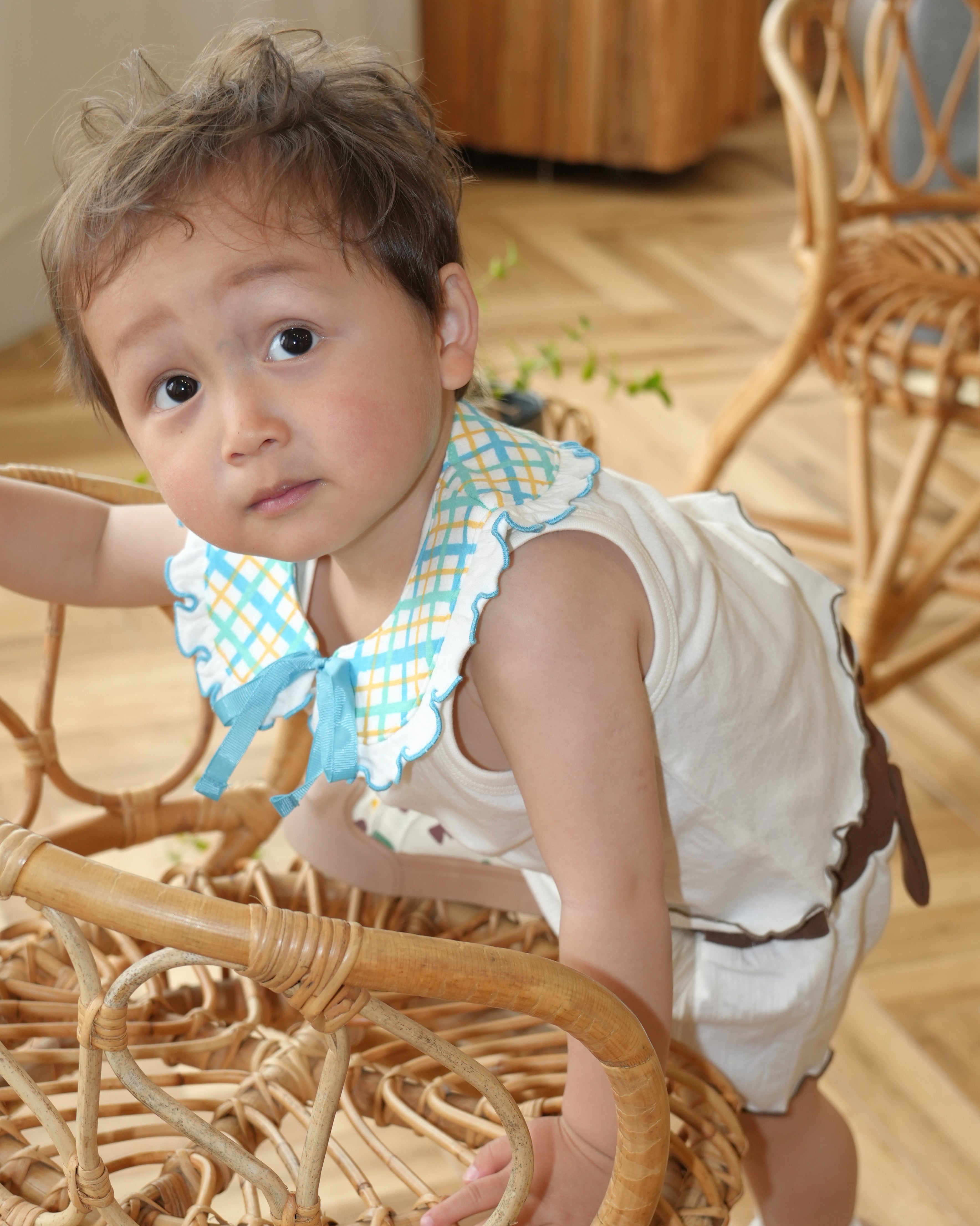 Hand Drawn Check Ruffle Detachable Collar 【110235】 (Blue)