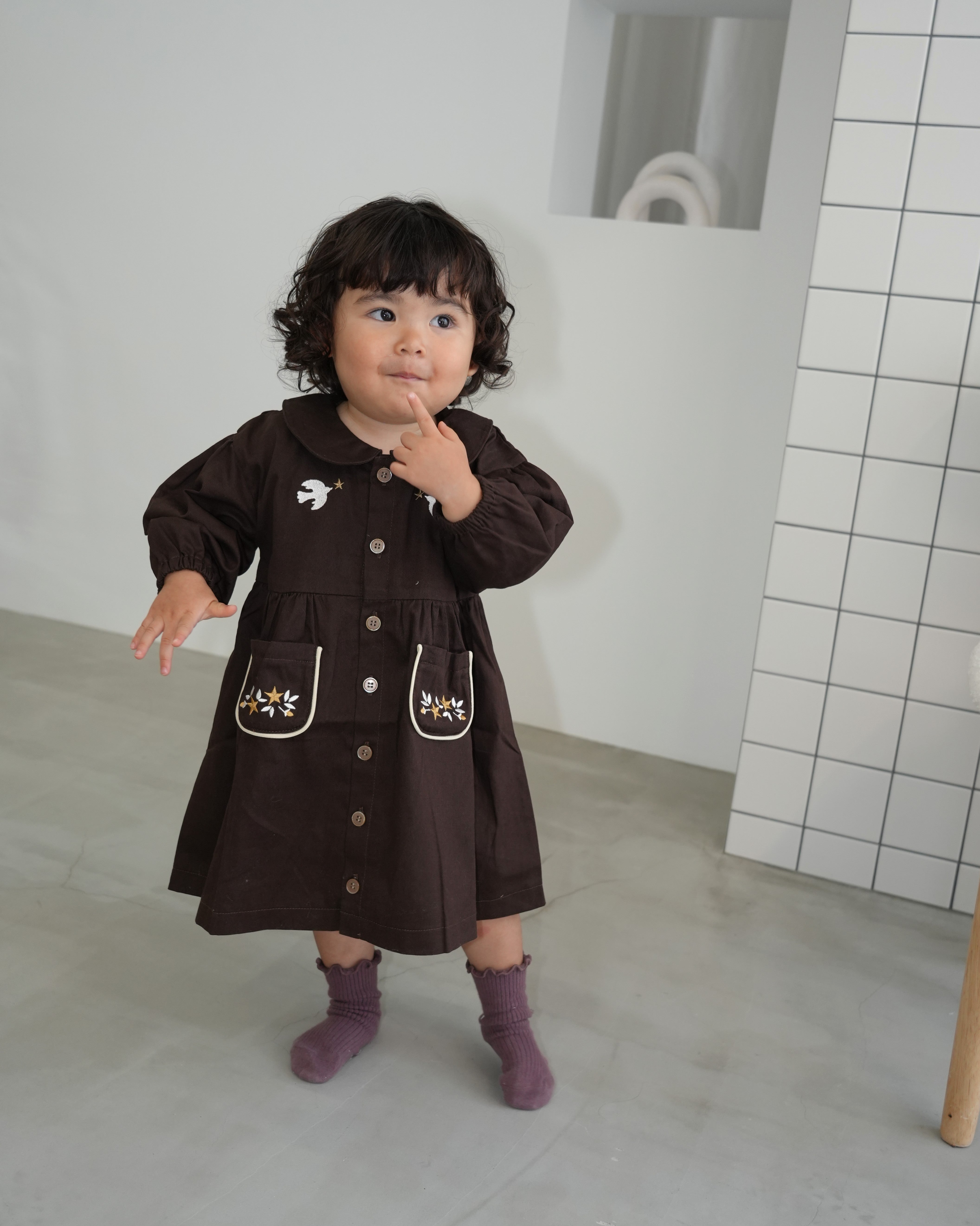 Embroidered Cotton Twill Peter Pan Collar Dress【110416】 (dark gray)