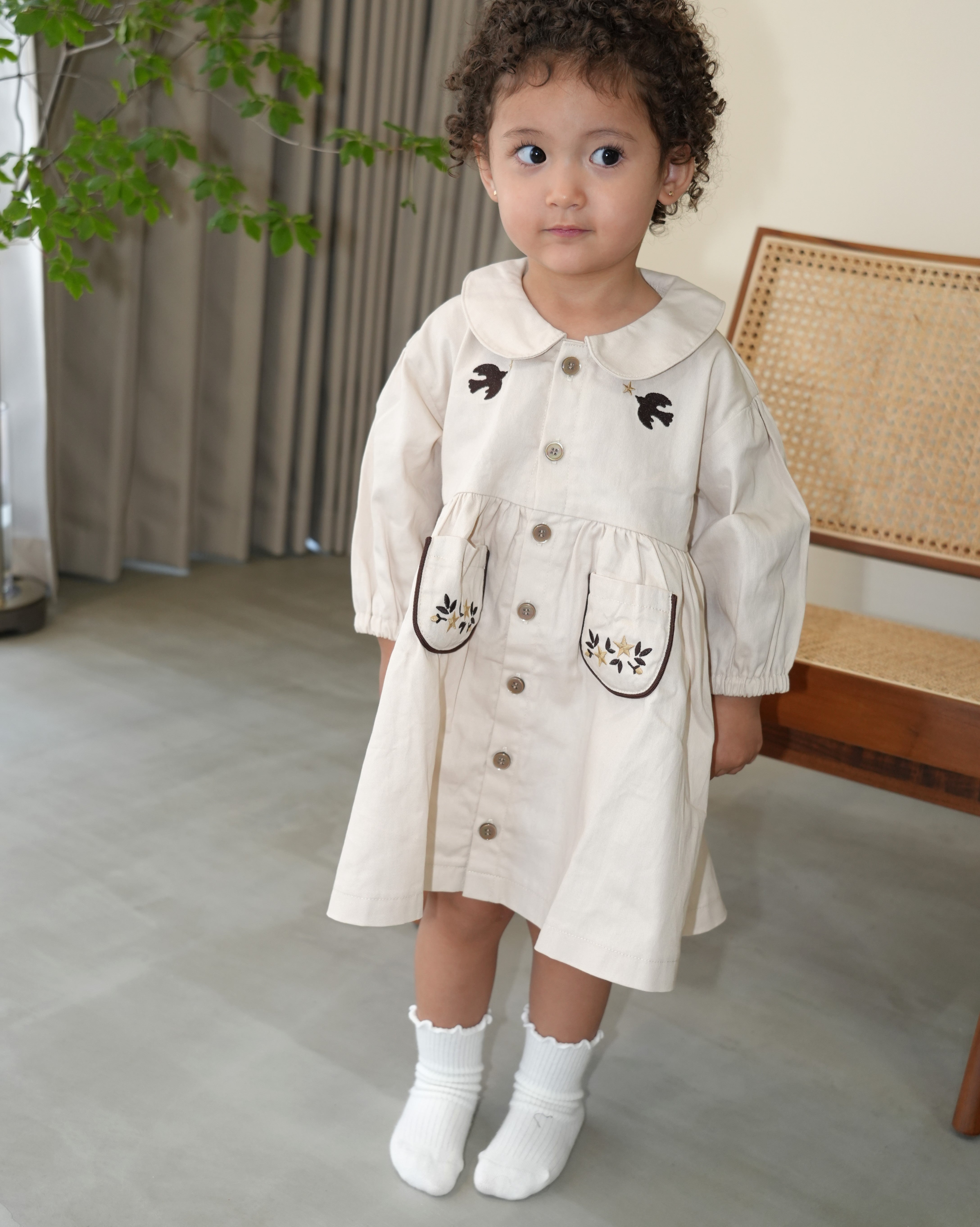Embroidered Cotton Twill Peter Pan Collar Dress【110416】 (ivory)