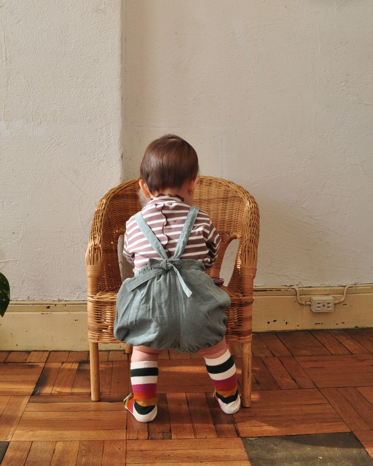 ボーダートップス【110205】(brown)