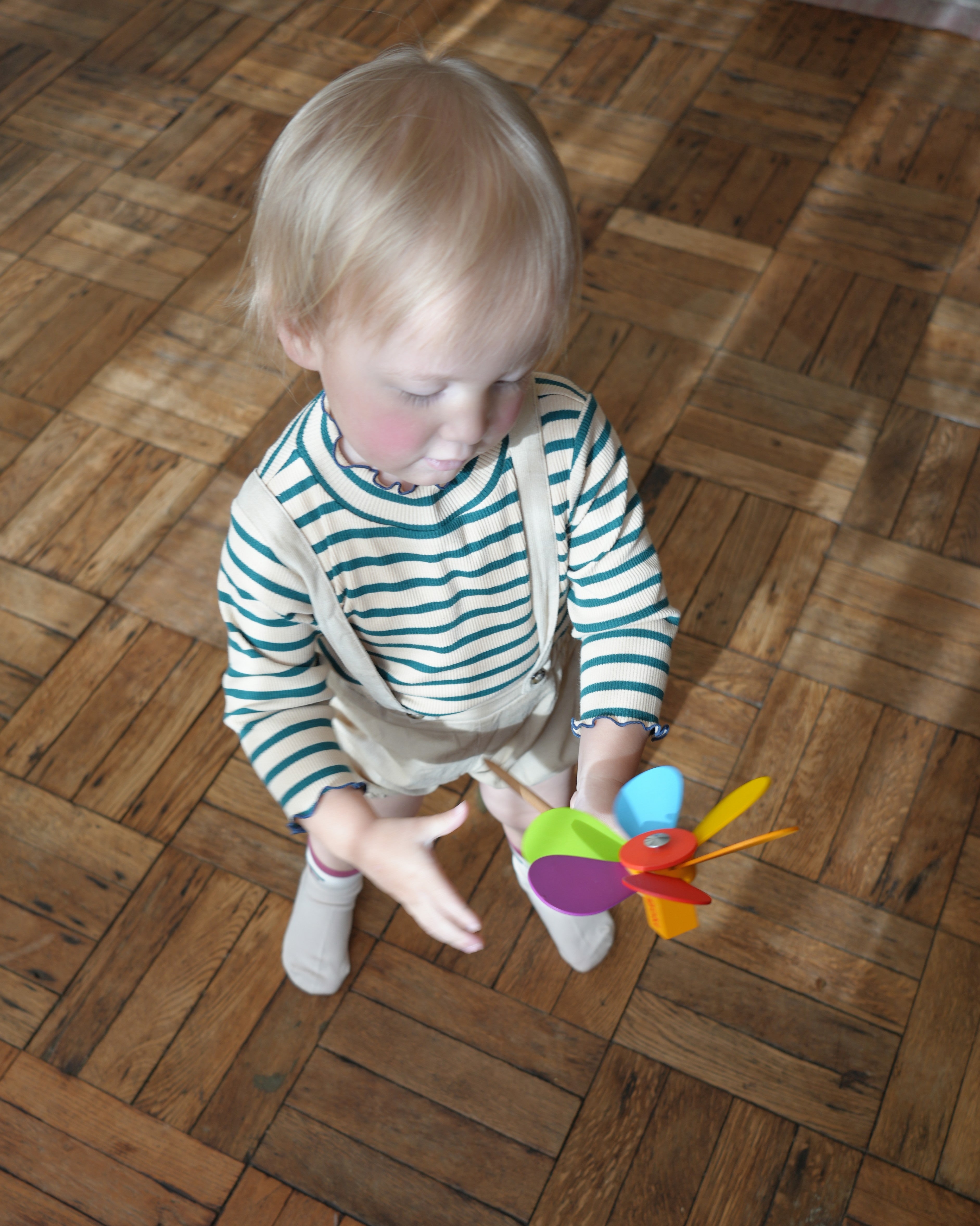 ボーダートップス【110205】(green)